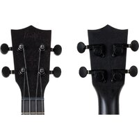 Flight NUS310 Blackbird Image #8