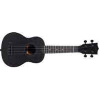 Flight NUS310 Blackbird Image #5