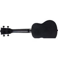 Flight NUS310 Blackbird Image #6