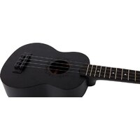 Flight NUS310 Blackbird Image #7