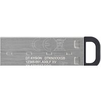Kingston Kyson 256GB Image #2