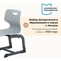 Sheffilton SHT-S-TN21/3-5 а3-5 (серый/антрацит) Image #5