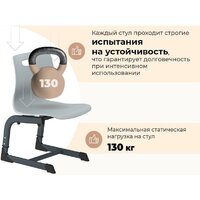 Sheffilton SHT-S-TN21/3-5 а3-5 (серый/антрацит) Image #2