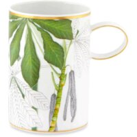 Vista Alegre Amazonia 21133556