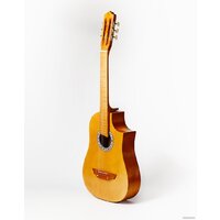 Аккорд ACD-39A-513-LN Image #2