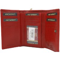 Peterson PTN 206-VTBD (красный) Image #2