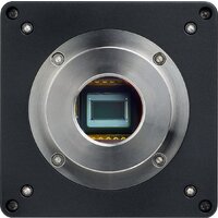 Magus Metal D600 BD 83026 Image #22