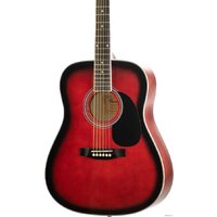 Homage LF-4111-R Image #2