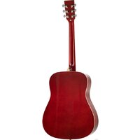 Homage LF-4111-R Image #4