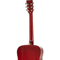 Homage LF-4111-R Image #5