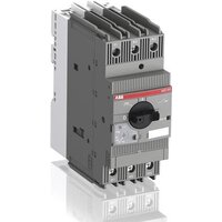 ABB MS165-42 42А 22кВт 25кА 1SAM451000R1015