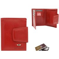 Peterson PTN 205-VTBD (красный) Image #3