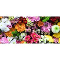 ФабрикаФресок Цветочная Оранжерея 1016270 (600x270)