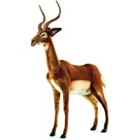 Hansa Сreation Импала 3852 (136 см)