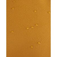 Thule Chasm 70L TDSD303 (golden) Image #8