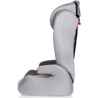 Capsula MT5 Image #5