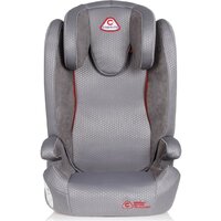 Capsula MT5 Image #6