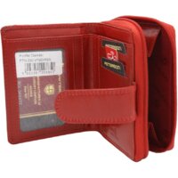 Peterson PTN 202-VTBD (красный) Image #2