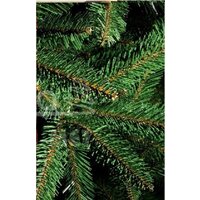 Maxy Poland Рената 1.5 м Image #2