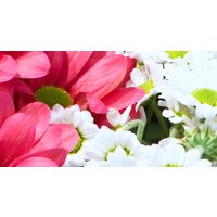 ФабрикаФресок Цветочная Оранжерея 1015270 (500x270) Image #2