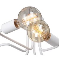 Vitaluce V4196-0/6PL Image #2