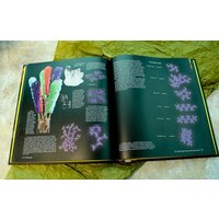 АСТ. Реакции (Грэй Теодор) Image #5