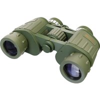 Levenhuk Discovery Field 10x42 78664