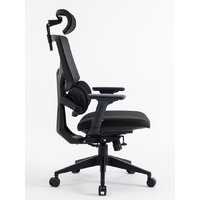 Evolution LumbarPro (черный) Image #2