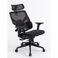 Evolution LumbarPro (черный) Image #6