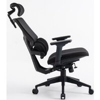 Evolution LumbarPro (черный) Image #7