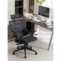 Evolution LumbarPro (черный) Image #10