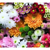 ФабрикаФресок Цветочная Оранжерея 1013270 (300x270) Image #1