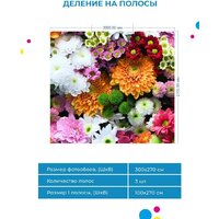 ФабрикаФресок Цветочная Оранжерея 1013270 (300x270) Image #5