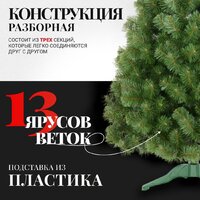 Erbis Sosna Сибирская 180 Image #4