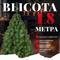 Erbis Sosna Сибирская 180 Image #2