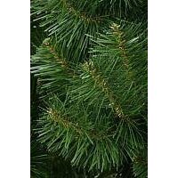 Erbis Sosna Сибирская 180 Image #7