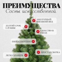 Erbis Sosna Сибирская 180 Image #5