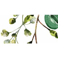 ФабрикаФресок Зеленый гербарий 705270 (500x270) Image #4