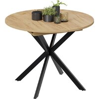 Трия Мэдисон тип 1 1000-1315х1000х750 (черные опоры/дуб крафт золотой) Image #4