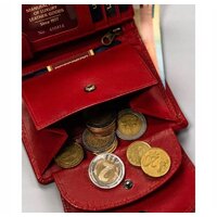 Peterson PTN 405-BO-0120 (красный) Image #11