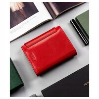 Peterson PTN 405-BO-0120 (красный) Image #6