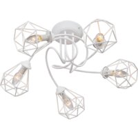 Vitaluce V4930-0/5PL Image #2