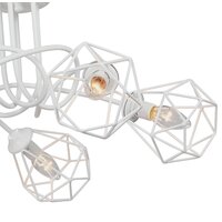 Vitaluce V4930-0/5PL Image #4