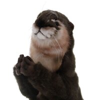 Hansa Сreation Выдра 4031 (28 см) Image #11