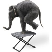 Woodville German 15542 (dark grey/black) Image #8