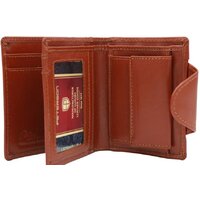 Peterson PTN 2517-BO-7833 (Tan) Image #2