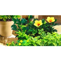 ФабрикаФресок Фреска Солнечная гавань 683270 (300x270) Image #3