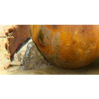 ФабрикаФресок Фреска Солнечная гавань 683270 (300x270) Image #2