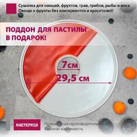 Мастерица EFD-0602VM (6 белых поддонов + 2 прозрачных поддона + поддон для пастилы) Image #4