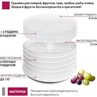 Мастерица EFD-0602VM (6 белых поддонов + 2 прозрачных поддона + поддон для пастилы) Image #10